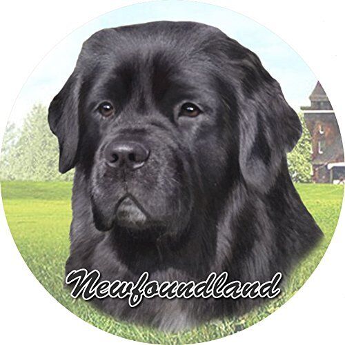 ES Pets Absorbent Stoneware Car Cup Holder Coaster, Newfoundland