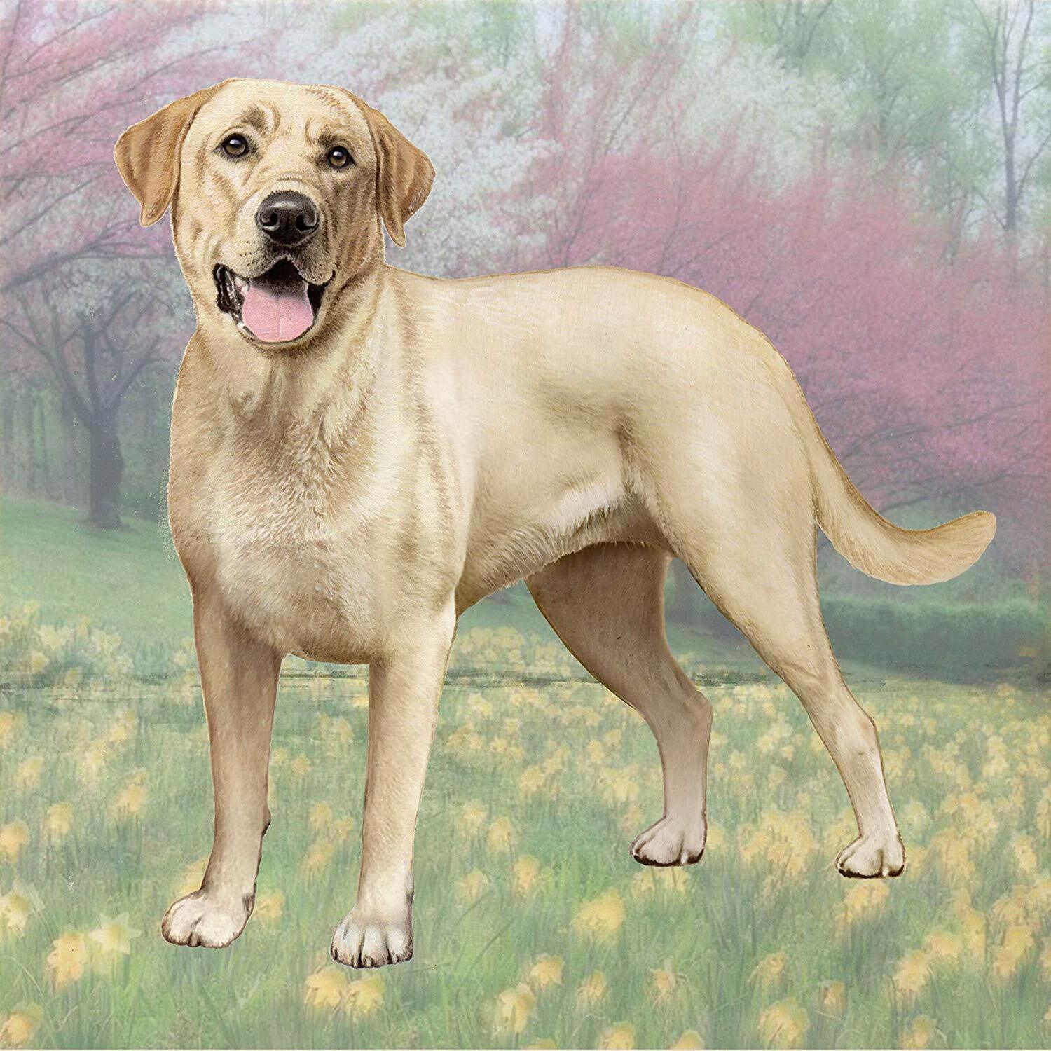 Labrador (Yellow Standing) Tabletop Drink Coaster (1)