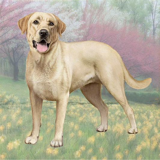 Labrador (Yellow Standing) Tabletop Drink Coaster (1)