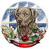 Chesapeake Bay Retriever Sage Dog Porcelain Ornament Santa I Can Explain!