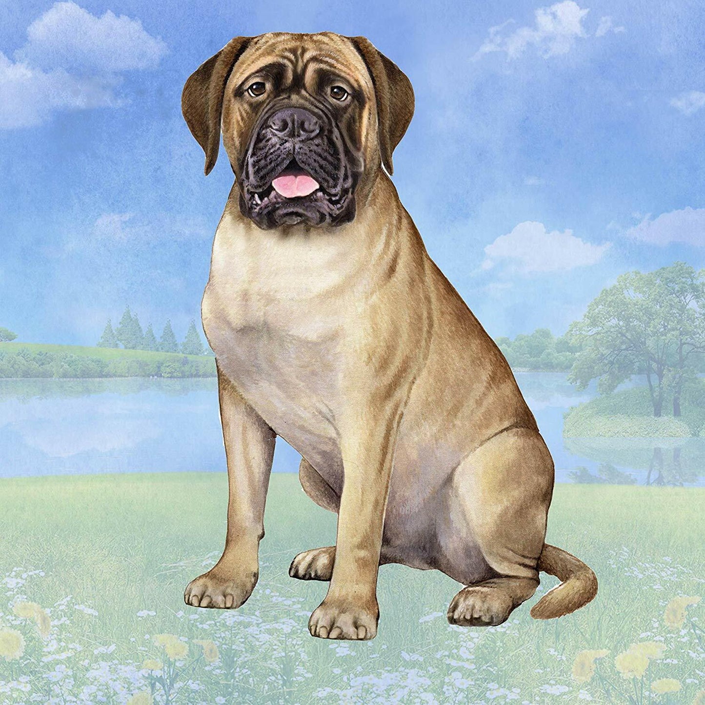 Bull Mastiff Tabletop Drink Coaster (1)