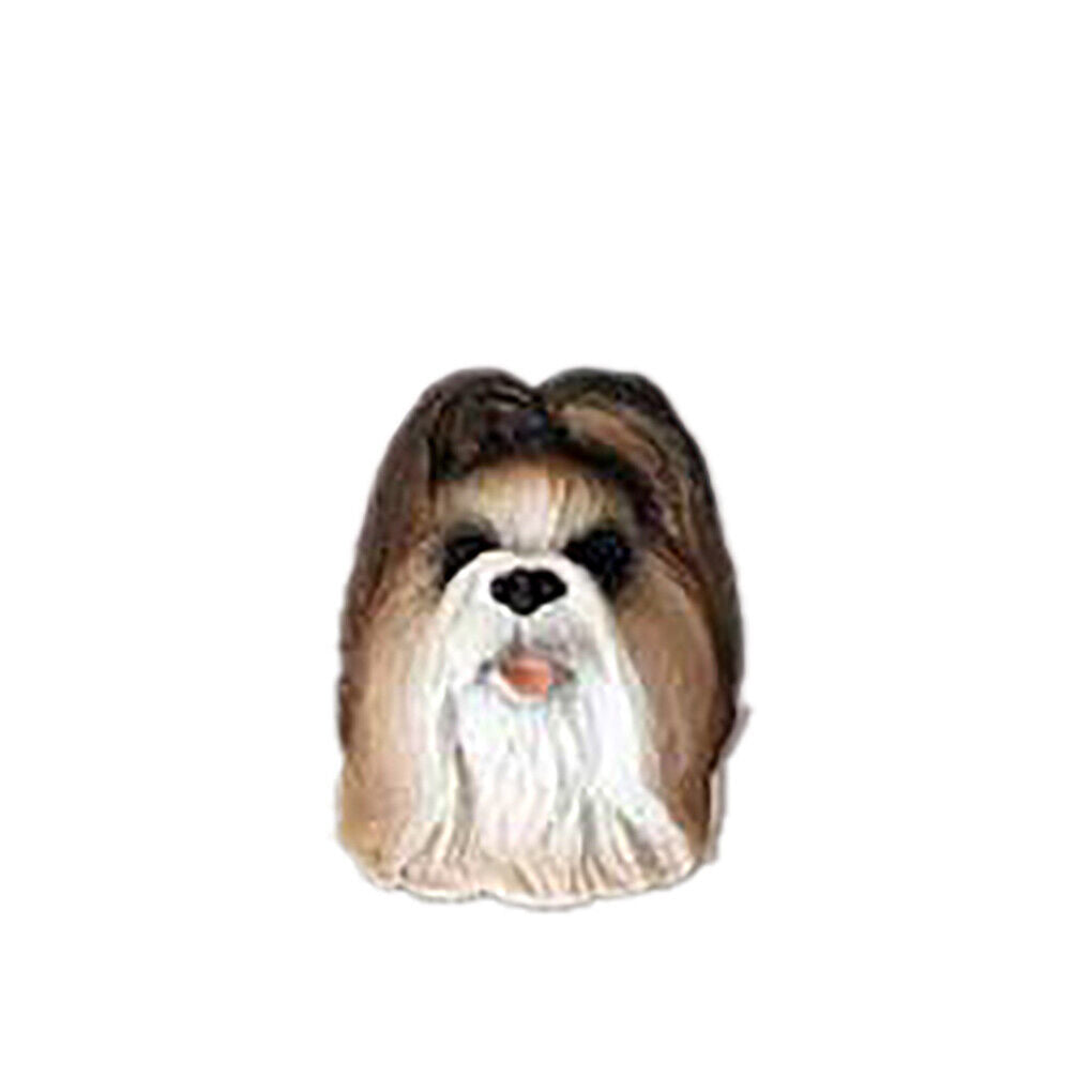 Conversation Concepts Shih Tzu Tan Earrings Post
