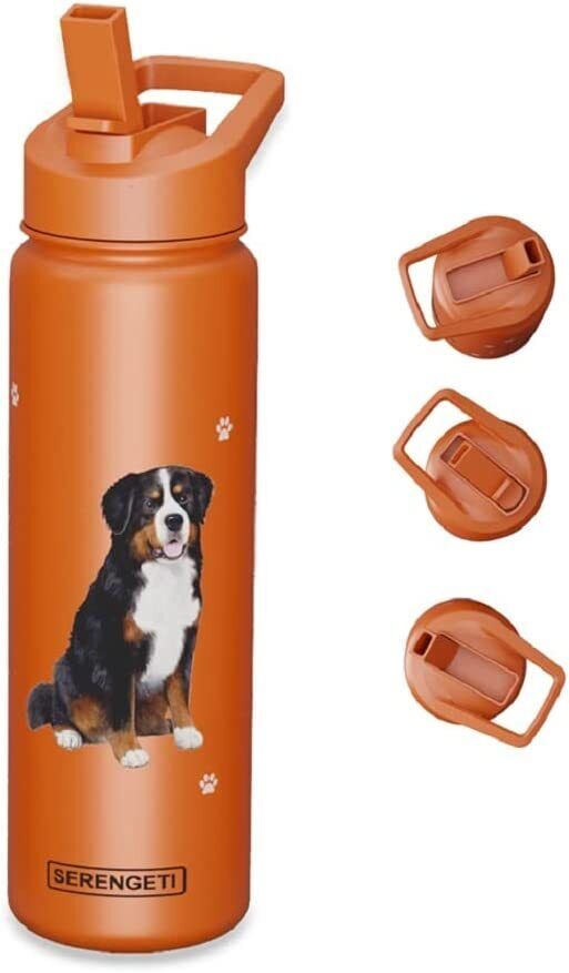 E&S Pets Stainless Steel Water Bottle 24 Oz., Spill Proof (Bernese Mountain Dog)