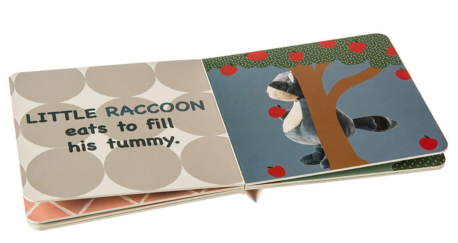 Mary Meyer Leika Baby Board Book, 6 x 6-Inches, Little Raccoon