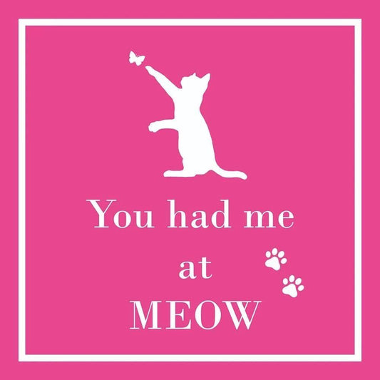 Paperproducts Design You had Me at Meow Beverage/Cocktail Paper Napkins,5"x5"