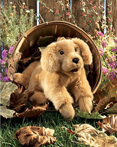 Folkmanis Golden Retriever Puppy Hand Puppet
