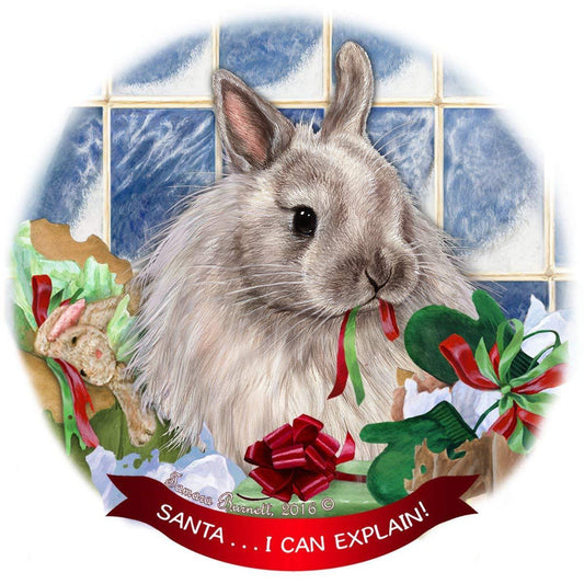 Jersey Wooley Rabbit Porcelain Hanging Ornament Pet Gift 'Santa.. I Can Explain!