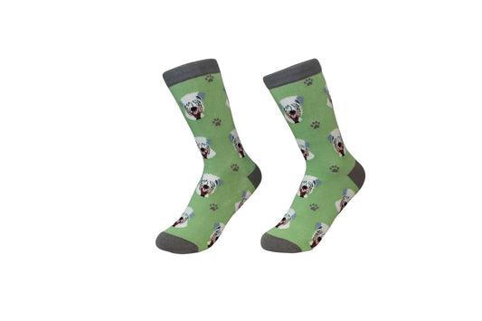 Soft Coated Wheaten Terrier Dog Breed Socks Unisex Sock Daddy by E&S Pets