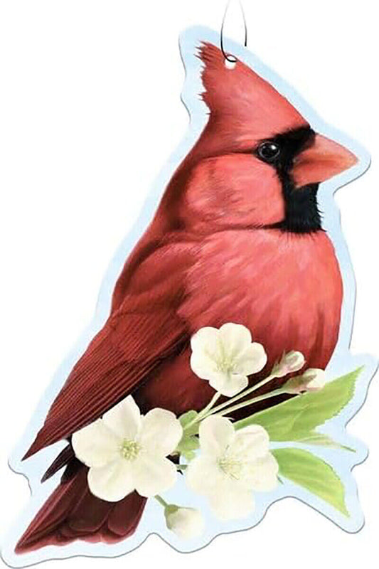 Spoontiques Cardinal Auto Car Air Freshener (3-Pack)