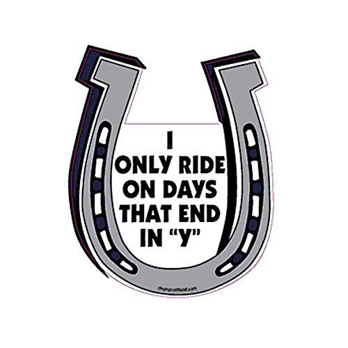 Its a Good Thing We Both Don't Love New Shoes Horseshoe Magnet