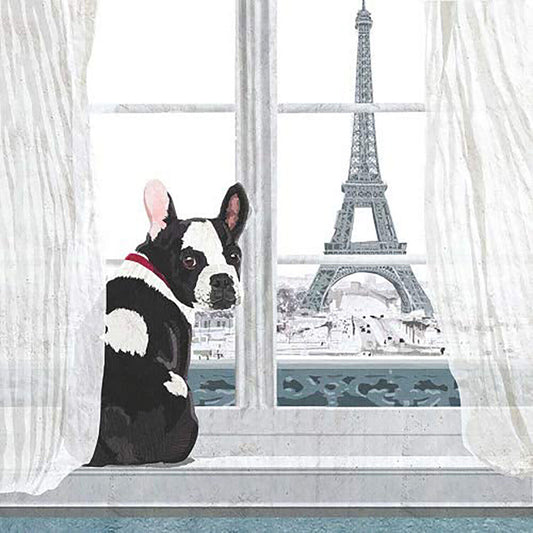 Paperproducts Design Remi A Paris Beverage/Cocktail Paper Napkins,5"x5"