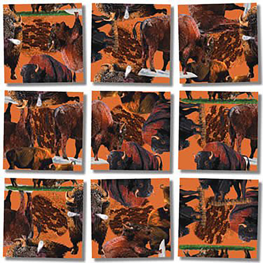 Scramble Squares Puzzle Buffalo