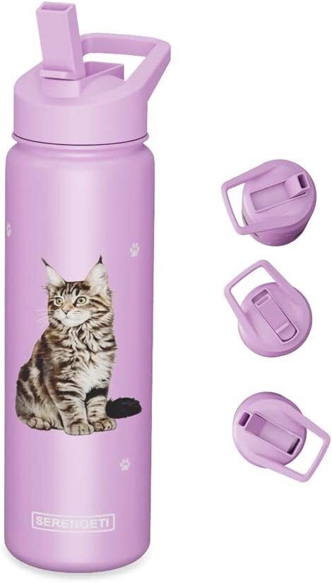 E&S Pets Stainless Steel Water Bottle 24 Oz., Spill Proof (Maine Coon)
