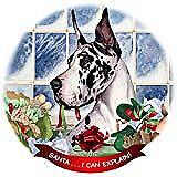 Harlequin Dane Cropped Dog Porcelain Ornament Pet Gift 'Santa. I Can Explain!'