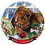 Guinea Pig Abyssinian Porcelain Ornament Pet Gift 'Santa. I Can Explain!'