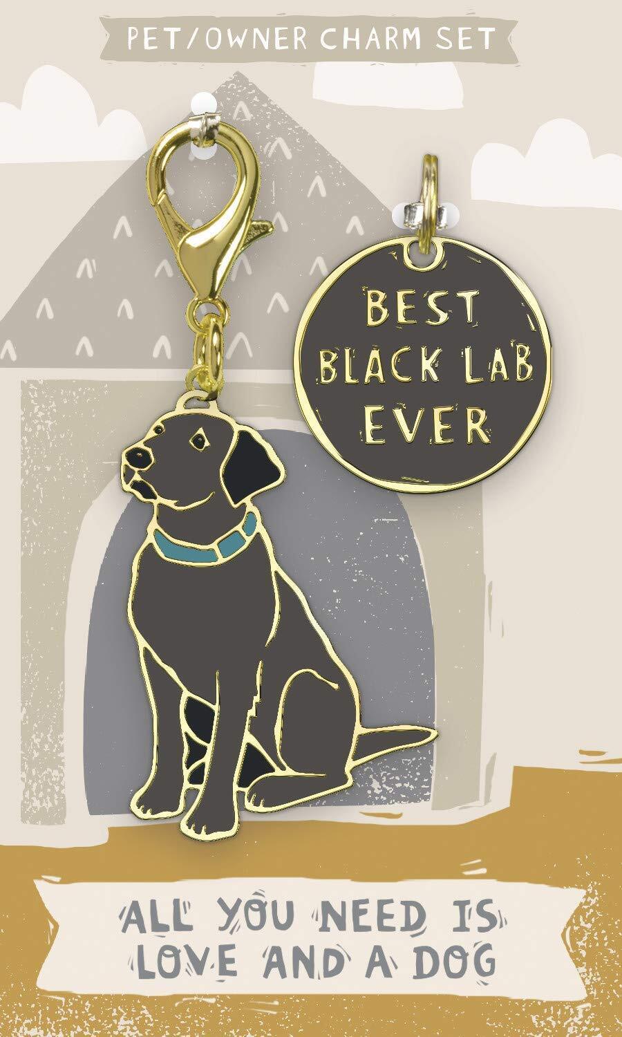 Primitives By Kathy Dog Collar Charm Set - Black Lab