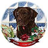 Chesapeake Bay Retriever Dark Brown Porcelain Ornament 'I Can Explain!'