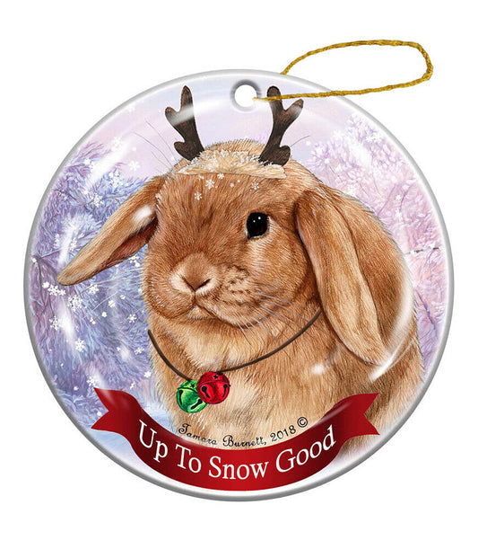 Holiday Pet Gifts Mini Lop Rabbit Porcelain Christmas Ornament