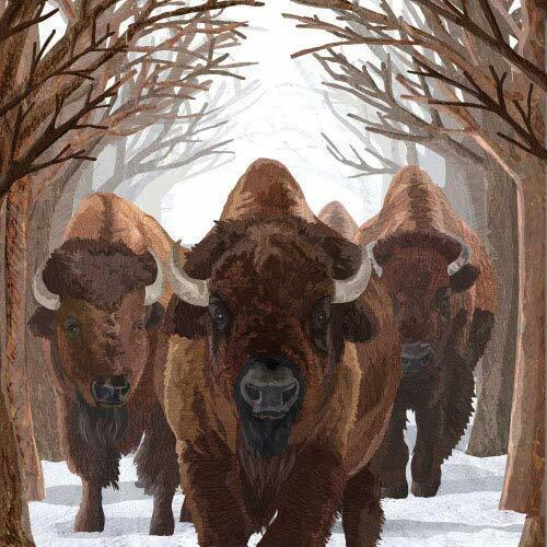 Paperproducts Design Buffalo Passage Beverage Napkin, 5" x 5", Multicolor