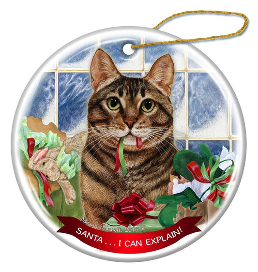 Brown Tabby Cat Porcelain Hanging Ornament Pet Gift 'Santa.. I Can Explain!'