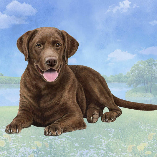 Labrador (Chocolate Laying) Tabletop Drink Coaster (1)