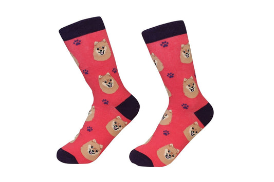 Pomeranian Dog Breed Socks Unisex Sock Daddy by E&S Pets