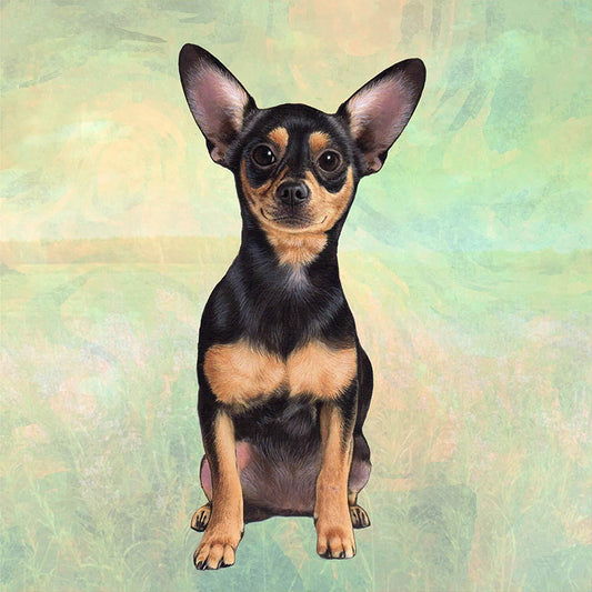E&S Pets Chihuahua (Black and Tan Sitting) Tabletop Drink Coaster (1)