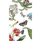 Paperproducts Design Guest Towel with Victoria Garden Design, 5 x 8", Multi