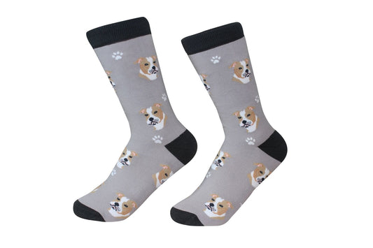 Pitbull Dog Breed Socks Unisex Sock Daddy by E&S Pets