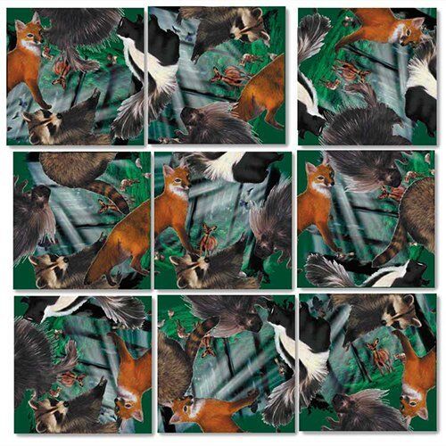 B Dazzle Forest Animals Scramble Squares 9 Piece Puzzle