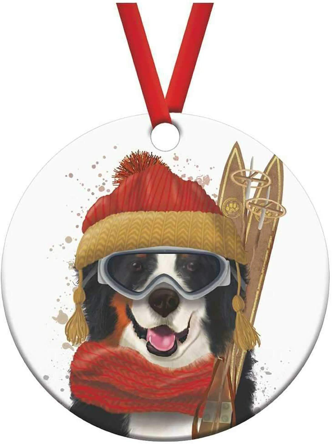 PaperProducts Design FAB Funky Skiing Noah Bernese Dog Porcelain Ornament, 3"