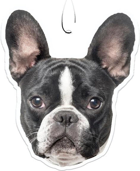 Spoontiques French Bulldog Air Freshener (3-Pack)