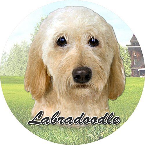 ES Pets Absorbent Stoneware Car Cup Holder Coaster, Cream Labradoodle