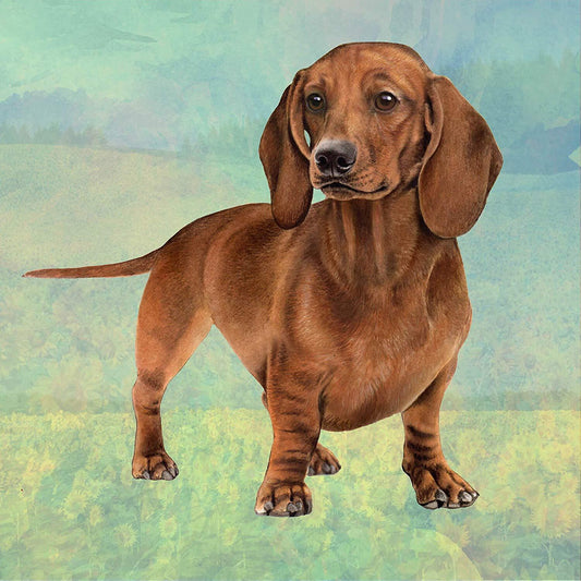 Dachshund (Red Standing) Tabletop Drink Coaster (1)