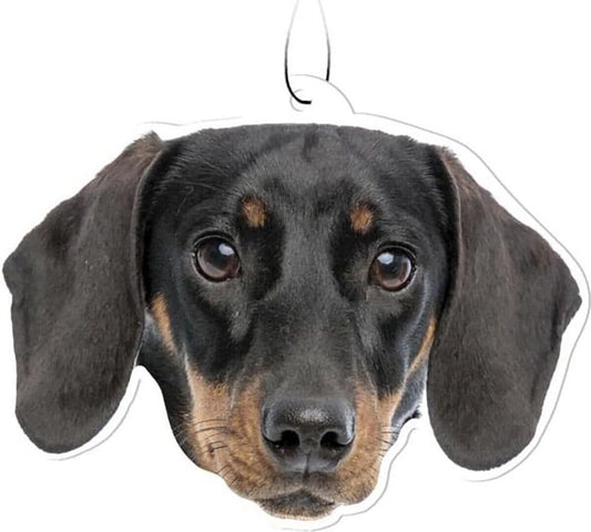 Spoontiques Black Dachshund Air Freshener (3-Pack)