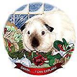 Guinea Pig Himalayan Porcelain Ornament Pet Gift 'Santa. I Can Explain!'