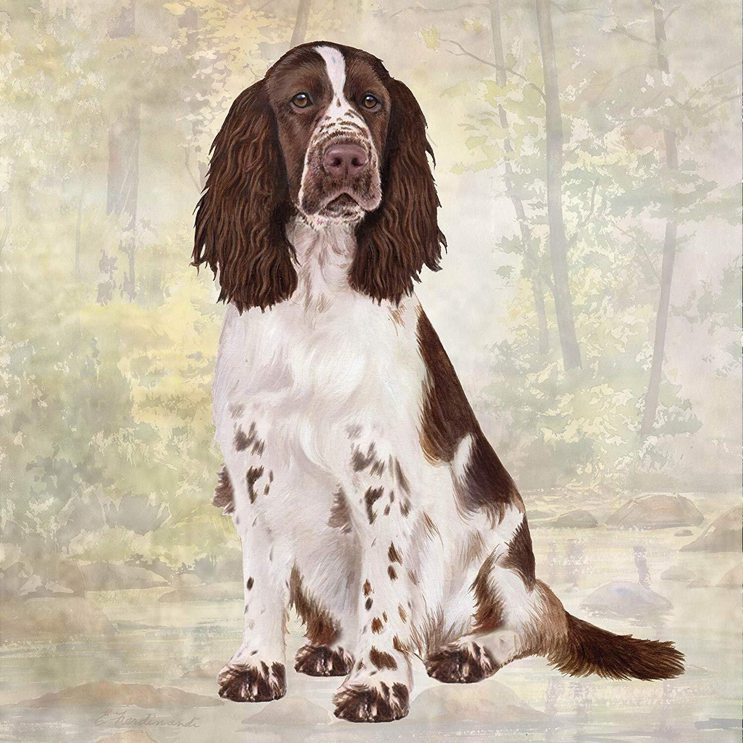 Springer Spaniel Tabletop Drink Coaster (1)