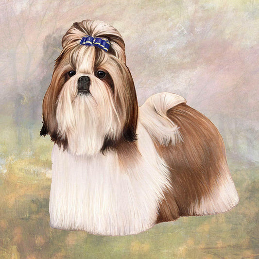 Shih Tzu (White & Tan) Tabletop Drink Coaster (1)