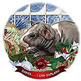 Guinea Pig Skinny (Hairless) Porcelain Ornament Pet Gift 'Santa. I Can Explain!'