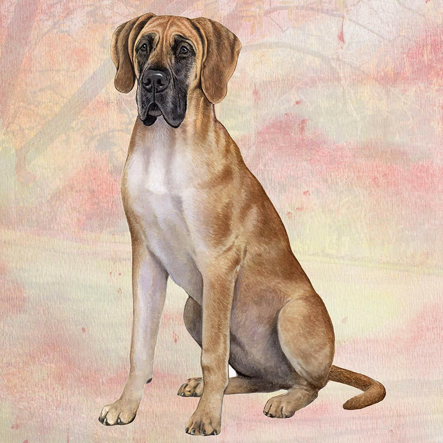Great Dane (Fawn) Tabletop Drink Coaster (1)