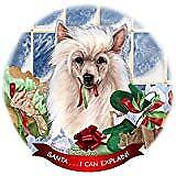 Chinese Crested Powder Puff Dog Porcelain Ornament 'Santa. I Can Explain!'