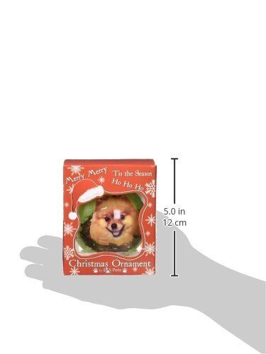 Pomeranian Christmas Ornament Shatter Proof Ball Easy To Personalize