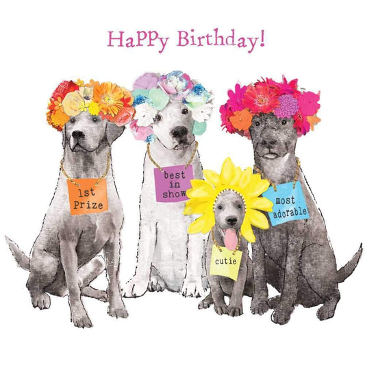 PaperProducts Designs Birthday Party Napkins BEST IN SHOW, DOGS, 20 napkins/pkg