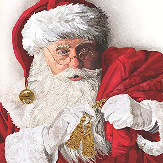 PaperProducts Design St. Nick Beverage Napkin, 20 CT