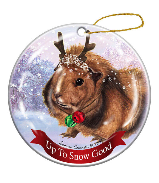 Guinea Pig Abyssinian Reindeer Porcelain Christmas Ornament