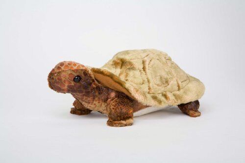 Douglas Toys Speedy Tortoise
