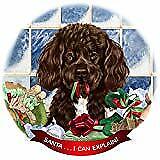 Portuguese Water Chocolate Dog Porcelain Ornament 'Santa. I Can Explain!'