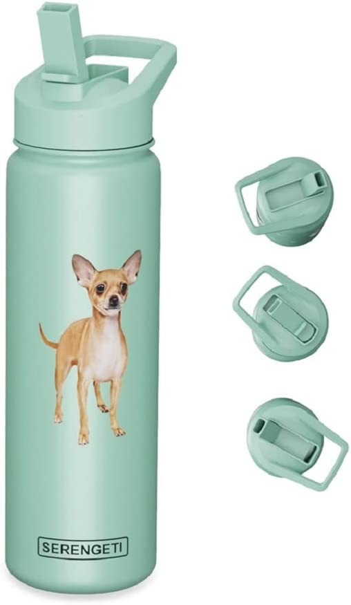 E&S Pets Stainless Steel Water Bottle 24 Oz, Spill Proof (Tan Chihuahua)