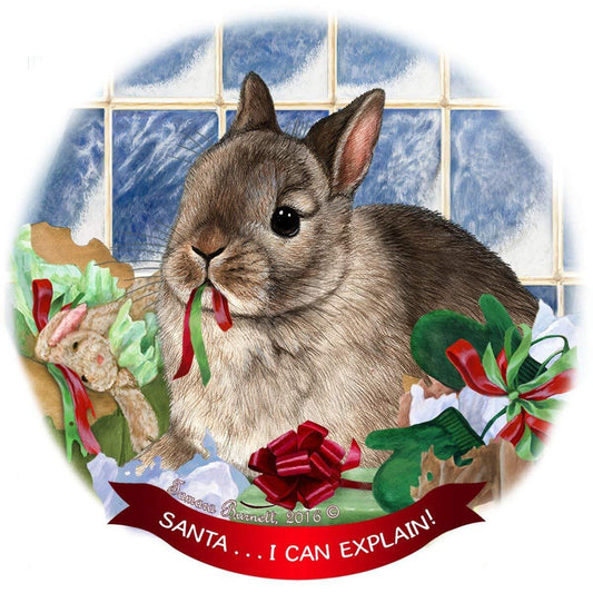 Netherland Dwarf Rabbit Porcelain Ornament Pet Gift 'Santa.. I Can Explain!