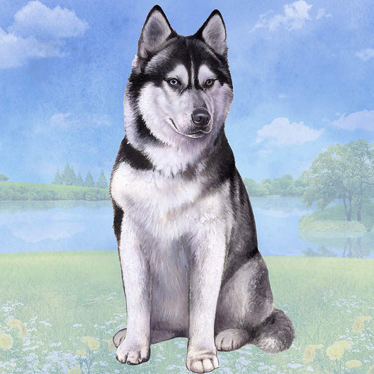 Siberian Husky Tabletop Drink Coaster (1)